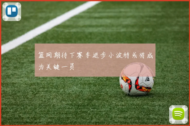 篮网期待下赛季进步小波特或将成为关键一员