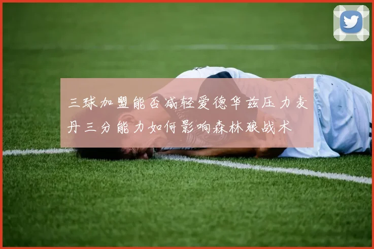 三球加盟能否减轻爱德华兹压力麦丹三分能力如何影响森林狼战术