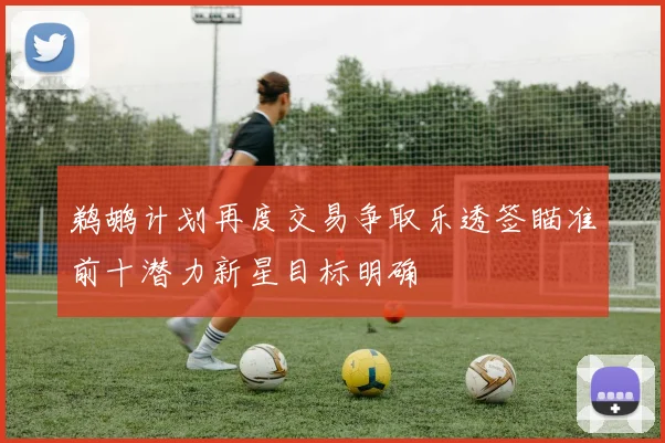 鹈鹕计划再度交易争取乐透签瞄准前十潜力新星目标明确