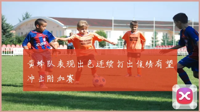 黄蜂队表现出色连续打出佳绩有望冲击附加赛